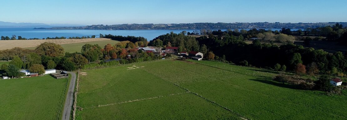Parcelas en Frutillar