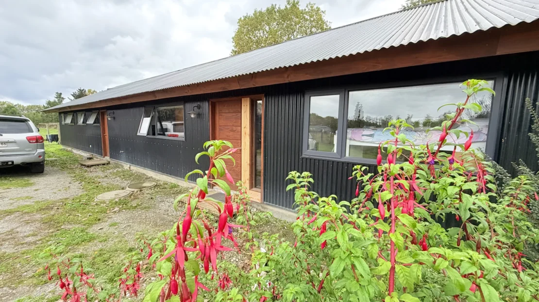 video image