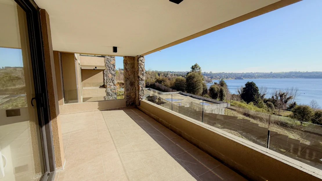 video image
