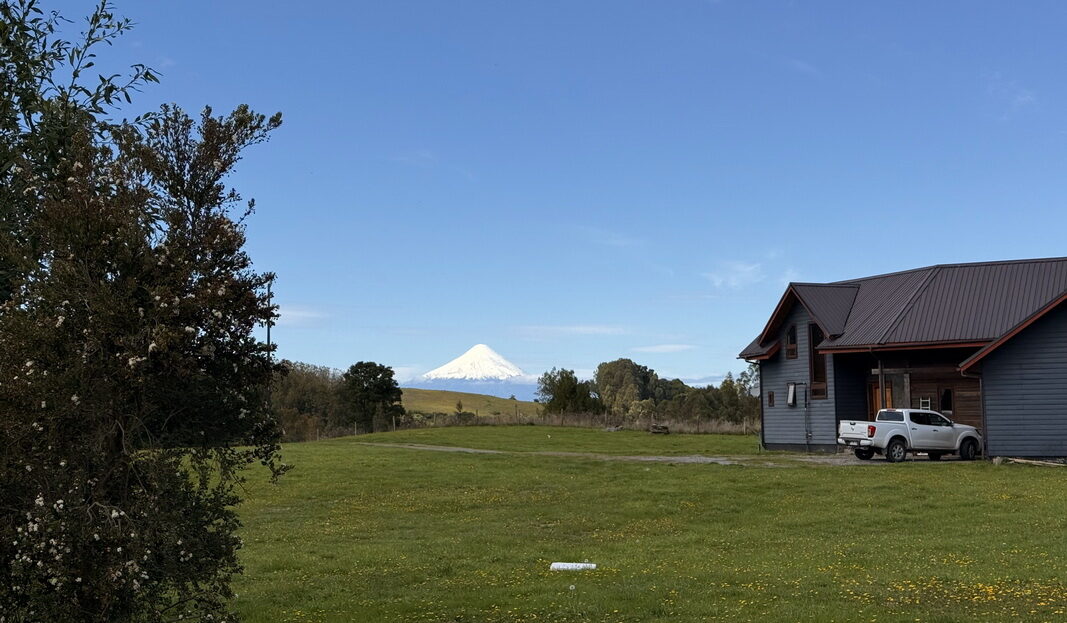 video image