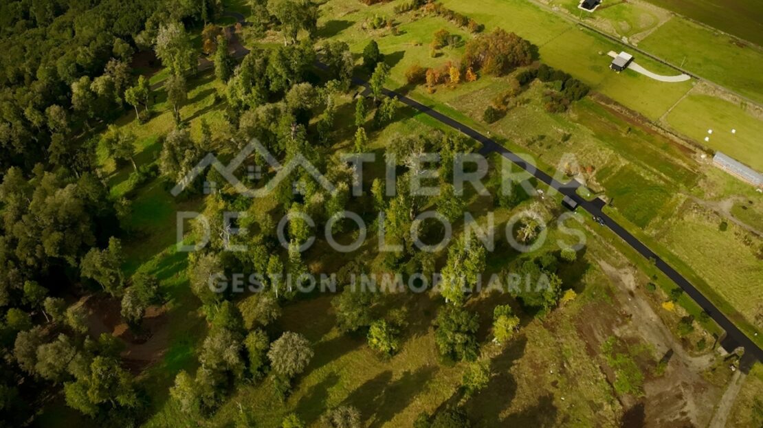 video image