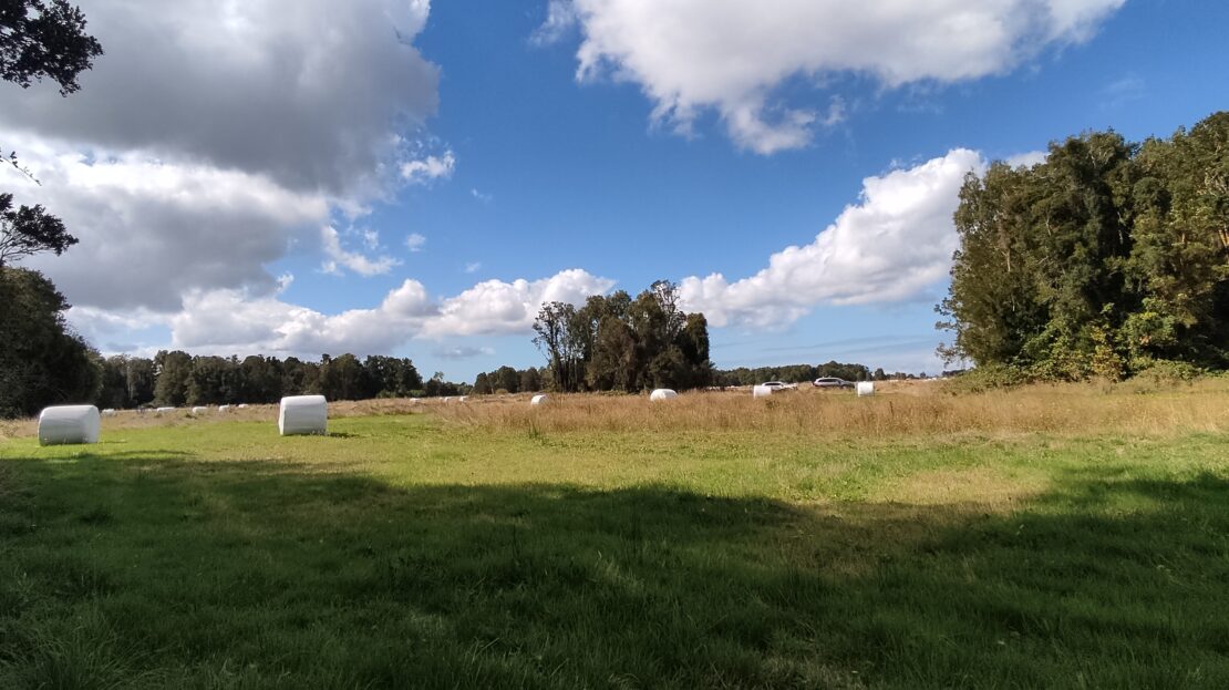 video image